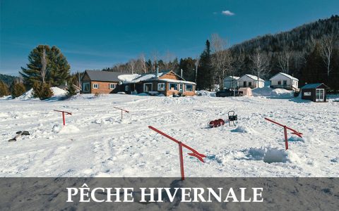 Forfaits de chasse au lièvre d'Amérique — Pourvoirie du Lac Croche – Pourvoirie du Lac Croche